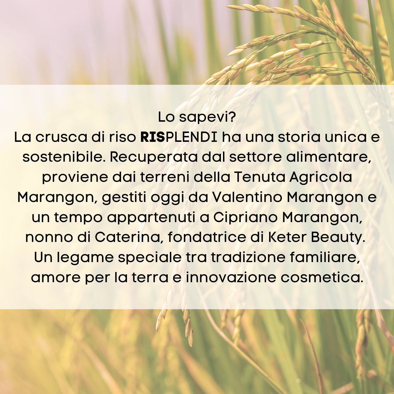 RISPLENDI crema viso fluida