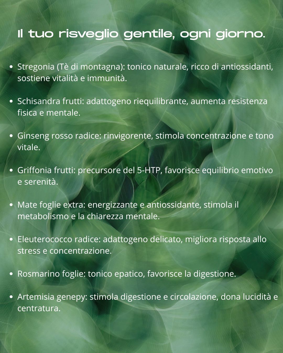 Alba Interiore infuso con adattogeni per energia, ansia e stress